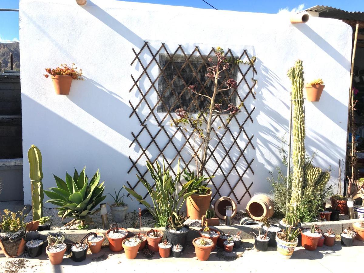 Villa Aurora Parque Natural Cabo Gata Níjar